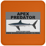 AP SHORTFIN MAKO C