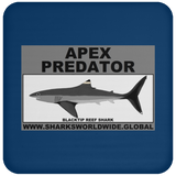 AP BLACKTIP REEF C