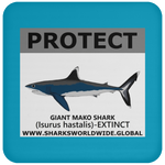 PRS GIANT MAKO V2 C