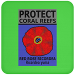 PCRS ROSE C