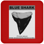 GR BLUE S T C