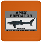 AP WHALE S C