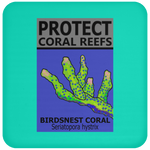 PCRS BIRDS C