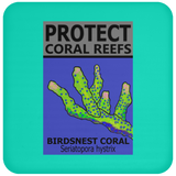 PCRS BIRDS C