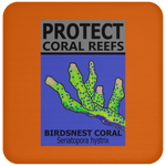 PCRS BIRDS C