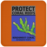 PCRS BIRDS C