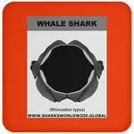 GR WHALE S J C