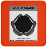 GR WHALE S J C