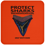 PSKT GWS V2 C