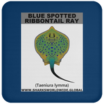 GR BS RIBBONTAIL C