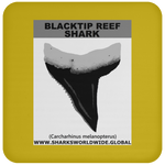 GR BLACKTIP REEF T C