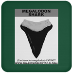 GR MEGALODON T C