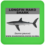 SSP LONGFIN C