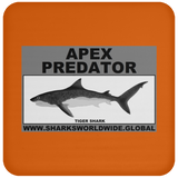 AP TIGER SHARK C