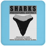 GR SSPX T MEGALODON C