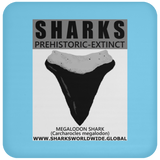 GR SSPX T MEGALODON C