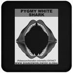 GR PYGW J C