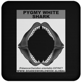 GR PYGW J C