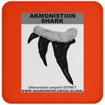 GR AKMONISTION T C