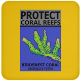 PCRS BIRDS C