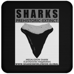 GR SSPX T MEGALODON C