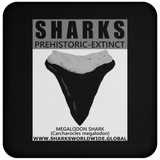 GR SSPX T MEGALODON C