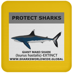 PRS GIANT MAKO V1 C