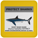 PRS GIANT MAKO V1 C