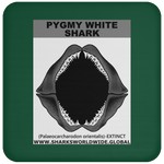 GR PYGW J C