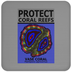 PCRS VASE C
