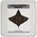 LONG NOSED SKATE C