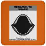 GR MEGAMOUTH J C