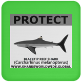 PRS BLACKTIP REEF V2 C