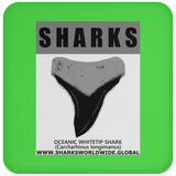 GR SRS T OCEANIC WT C
