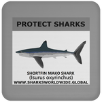 PRS SHORTFIN V1 C