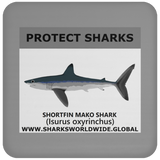 PRS SHORTFIN V1 C