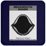 GR MEGAMOUTH J C