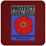 PCRS ROSE C