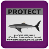 PRS BLACKTIP REEF V2 C