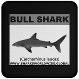 SSP BULL SHARK C