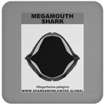 GR MEGAMOUTH J C