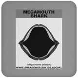 GR MEGAMOUTH J C