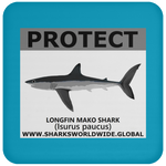 PRS LONGFIN V2 C