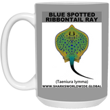 B S RIBBONTAIL RAY M