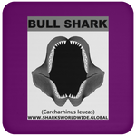 GR BULL SHARK J C