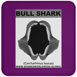 GR BULL SHARK J C