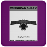 GR WINGHEAD J C