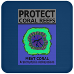 PCRS MEAT C