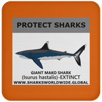 PRS GIANT MAKO V1 C