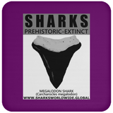 GR SSPX T MEGALODON C
